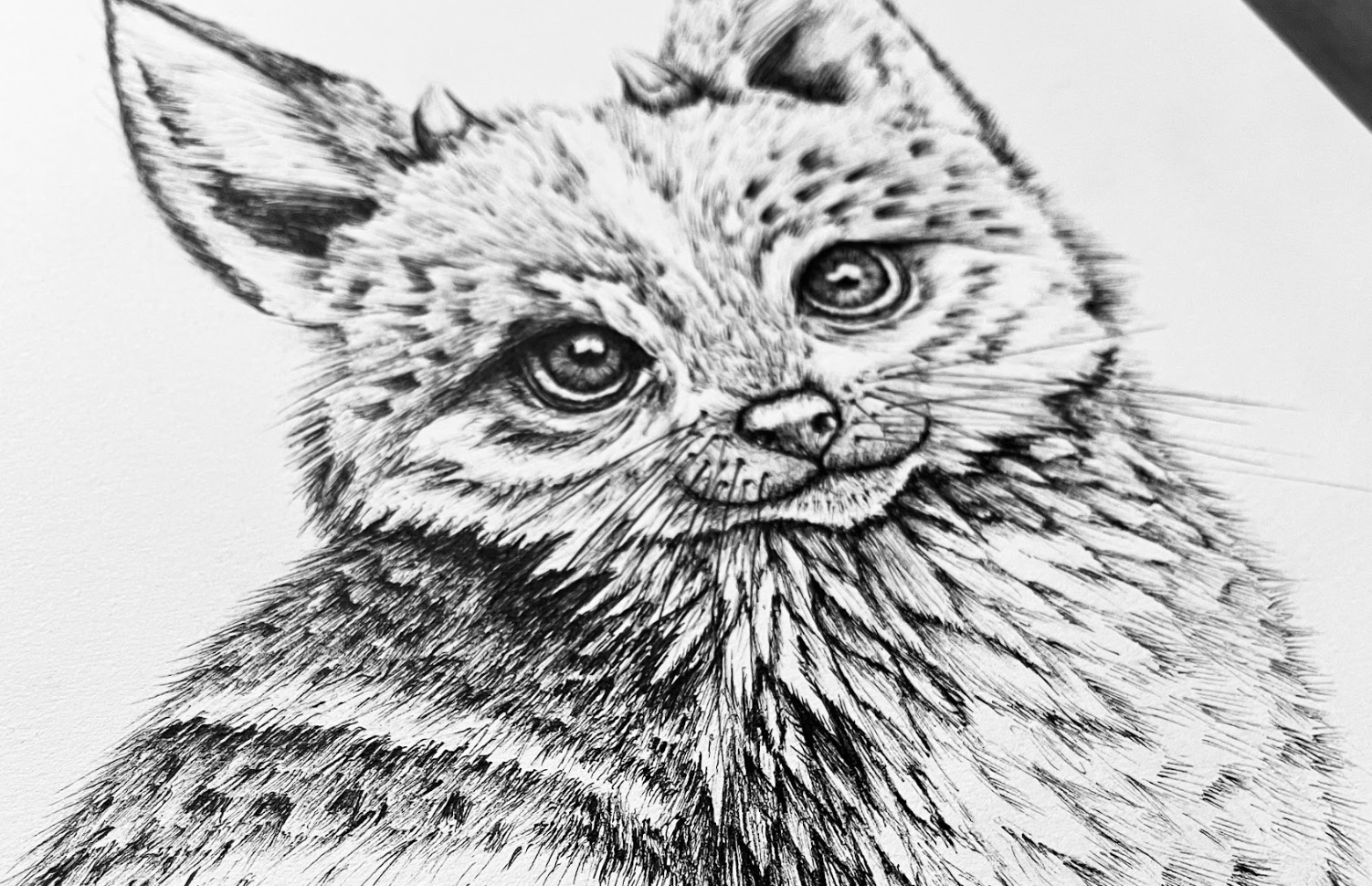 Artwork by Pascal Wijnberg for Eden's Rise