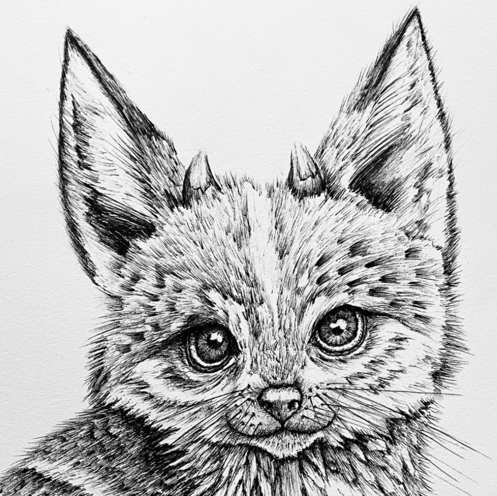 Artwork by Pascal Wijnberg for Eden's Rise